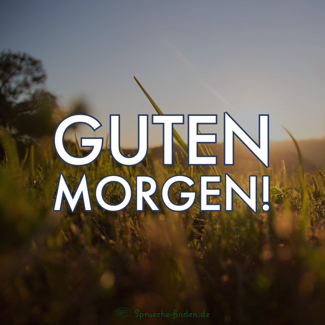 Guten Sprüche ☀️ 20 schöne Grüße am