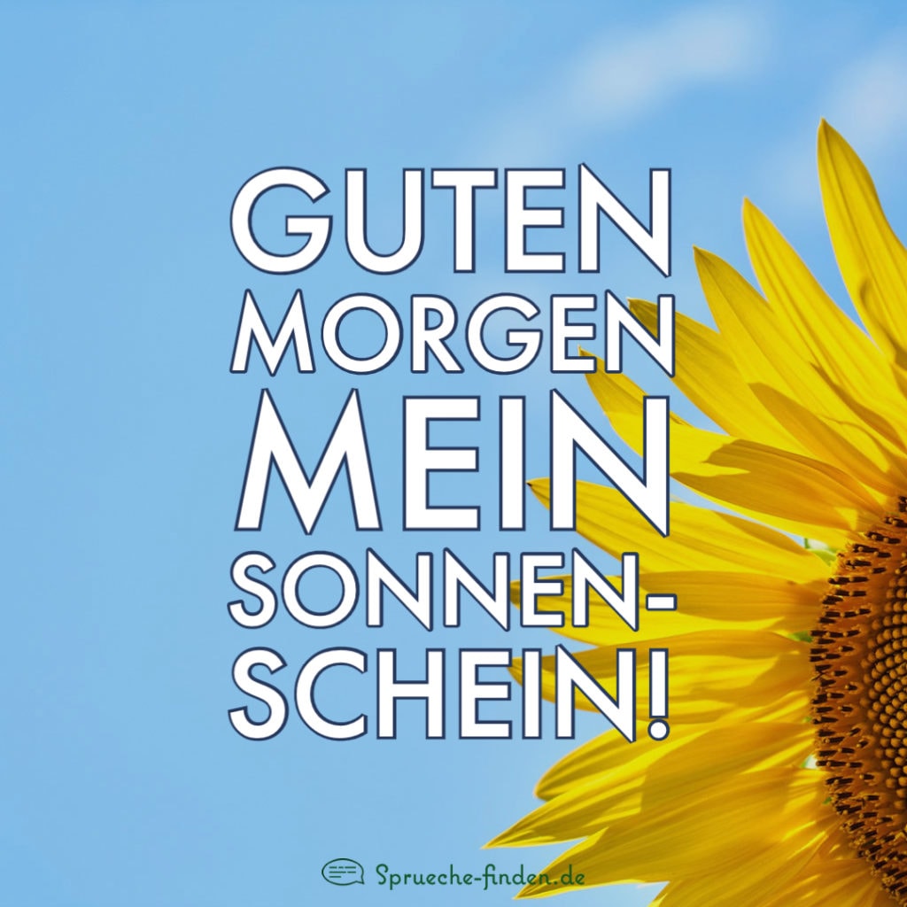 Guten Sprüche ☀️ 20 schöne Grüße am